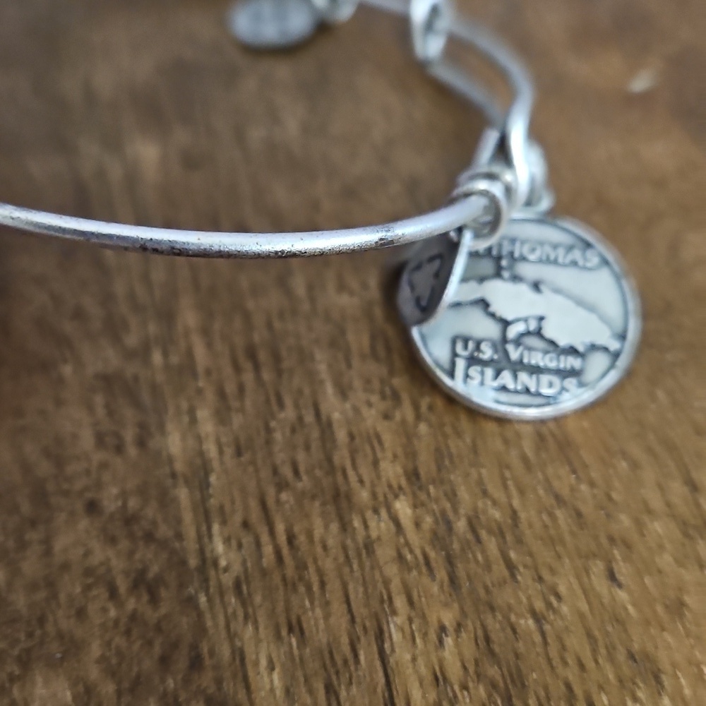Alex & Ani Bangle Bracelet - Picture 3 of 4